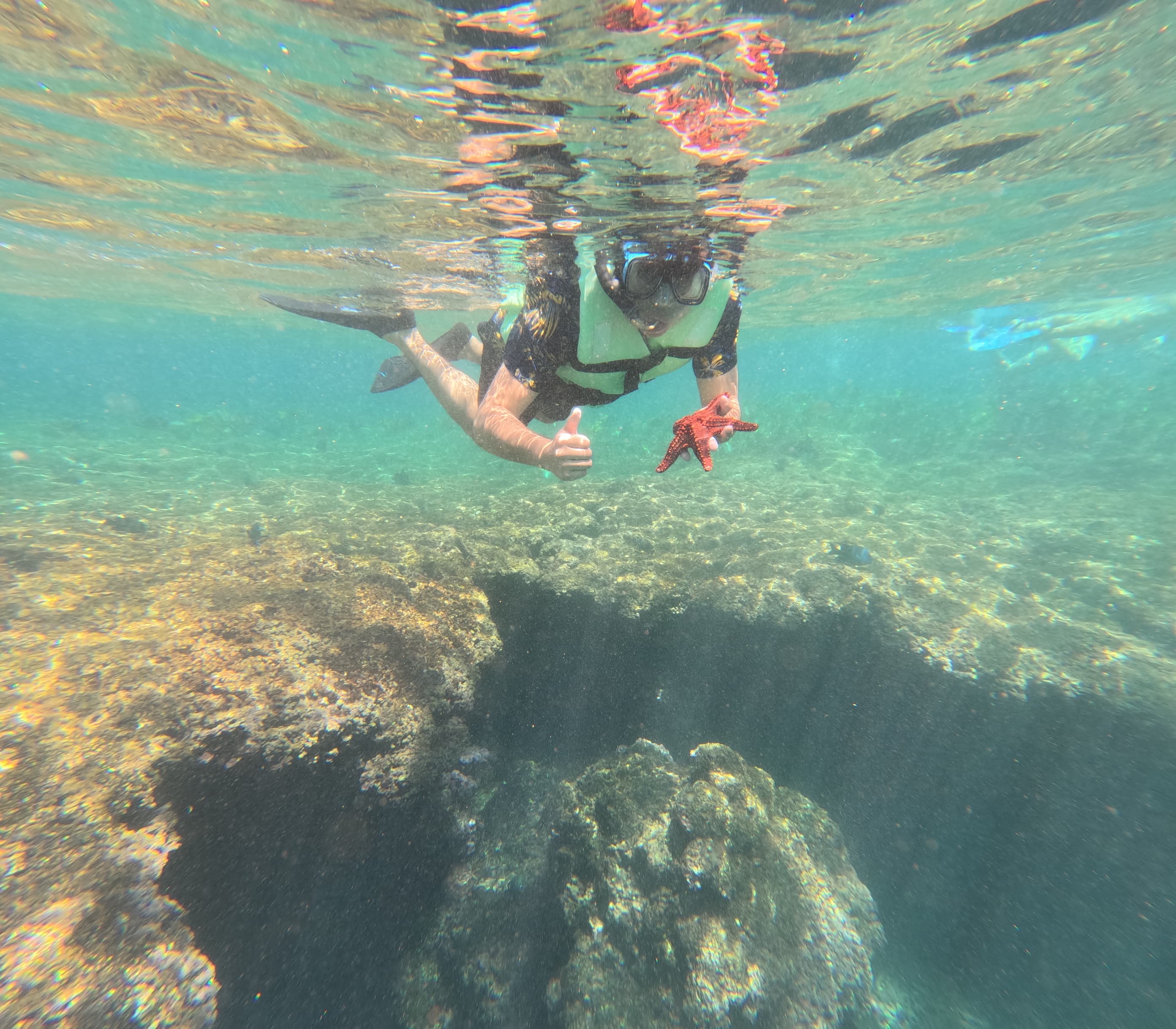 Snorkel Experience